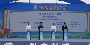 广东粮沣食品与徐州湖西农场签订战略协议，助力乡村产业振兴